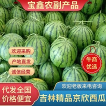 京欣西爪一手货源产地直销质量保证量大从优产地吉林洮南。