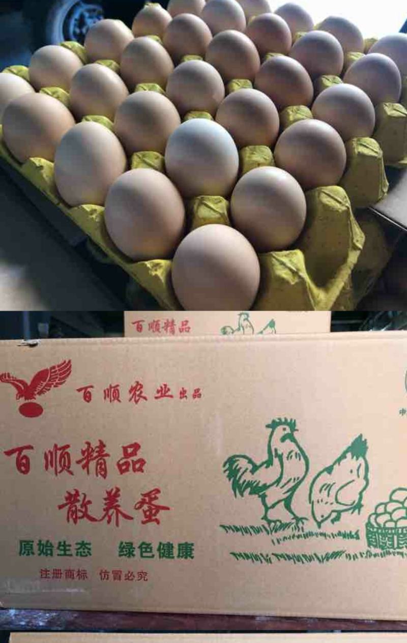 多彩贵州黔南独山百顺散养蛋土鸡蛋360*12/件