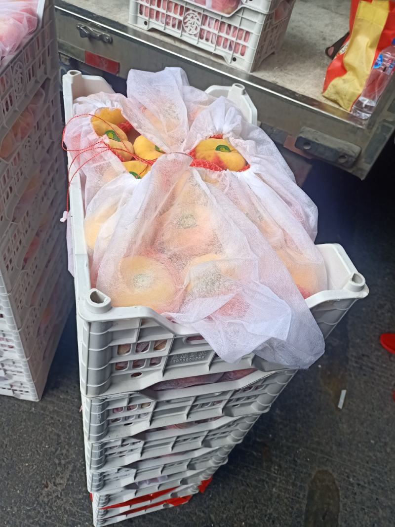 黄金蟠桃