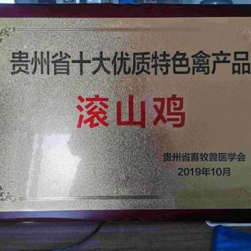 多彩贵州纳雍特产滚山鸡土鸡蛋散养蛋有机产品360枚/件