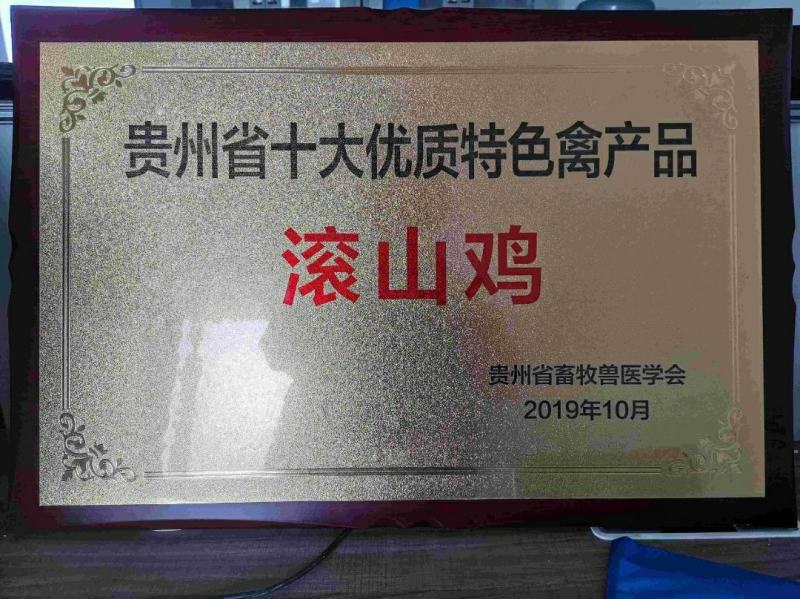 多彩贵州纳雍特产滚山鸡土鸡蛋散养蛋有机产品360枚/件