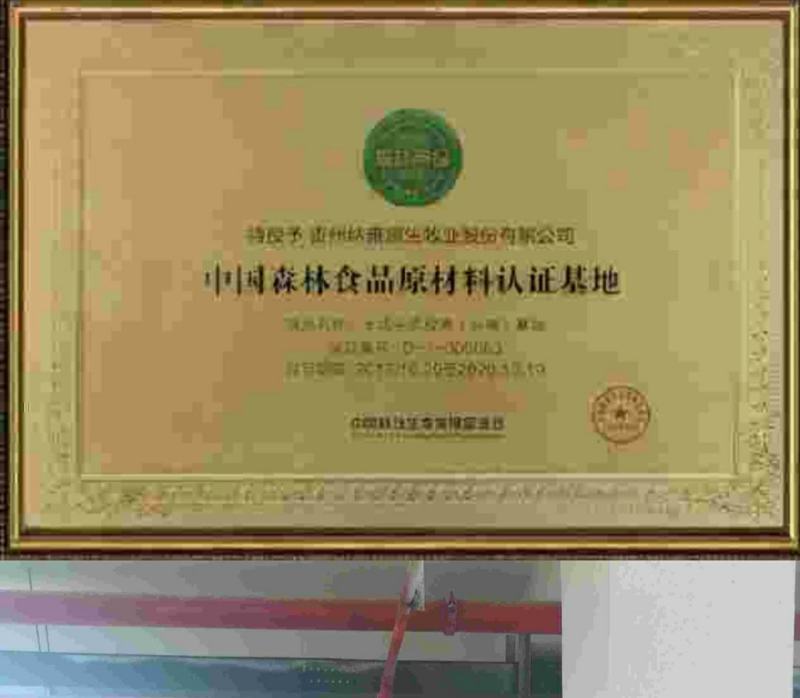 多彩贵州纳雍特产滚山鸡土鸡蛋散养蛋有机产品360枚/件
