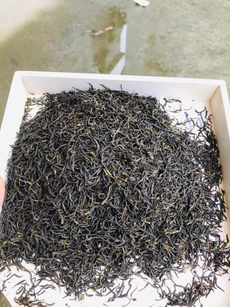 贵州黎平，高山红茶桂圆香，正山小种，黑美人