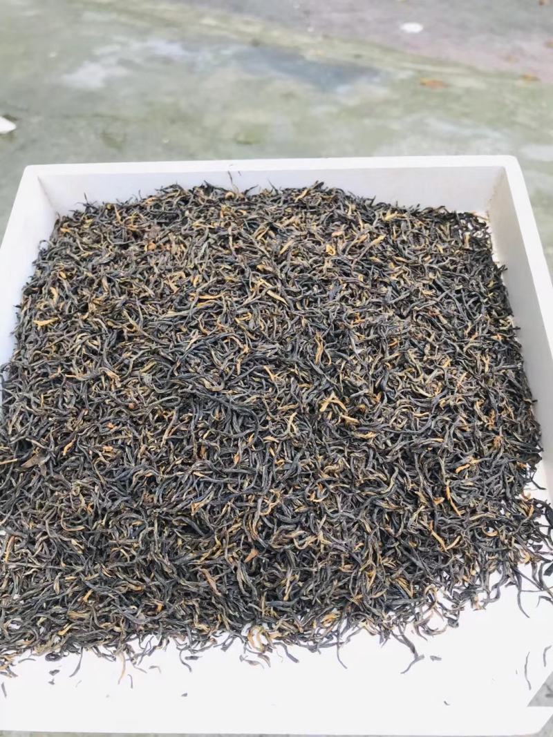 贵州黎平，高山红茶桂圆香，正山小种，黑美人