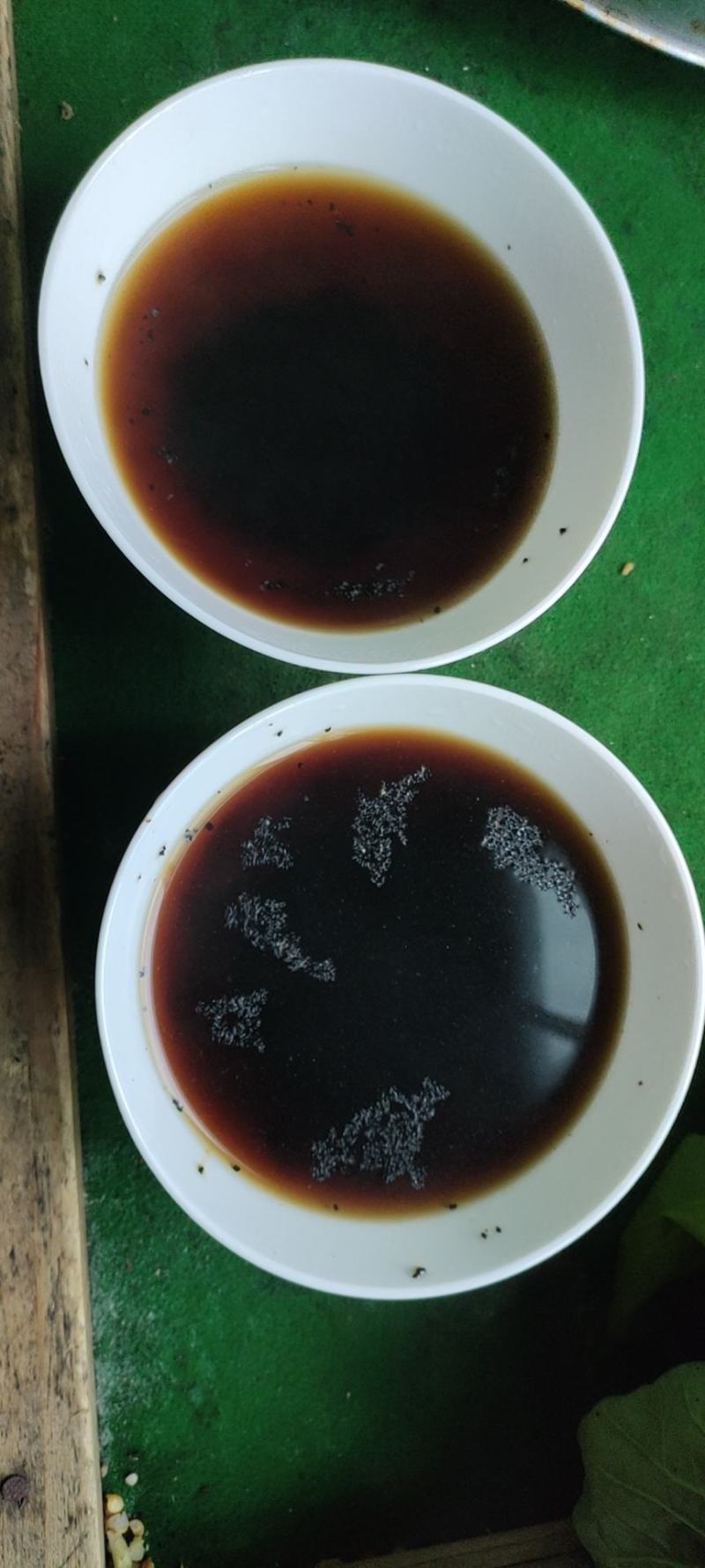 贵州黎平高山绿茶，毛尖毛峰海拔八百多米