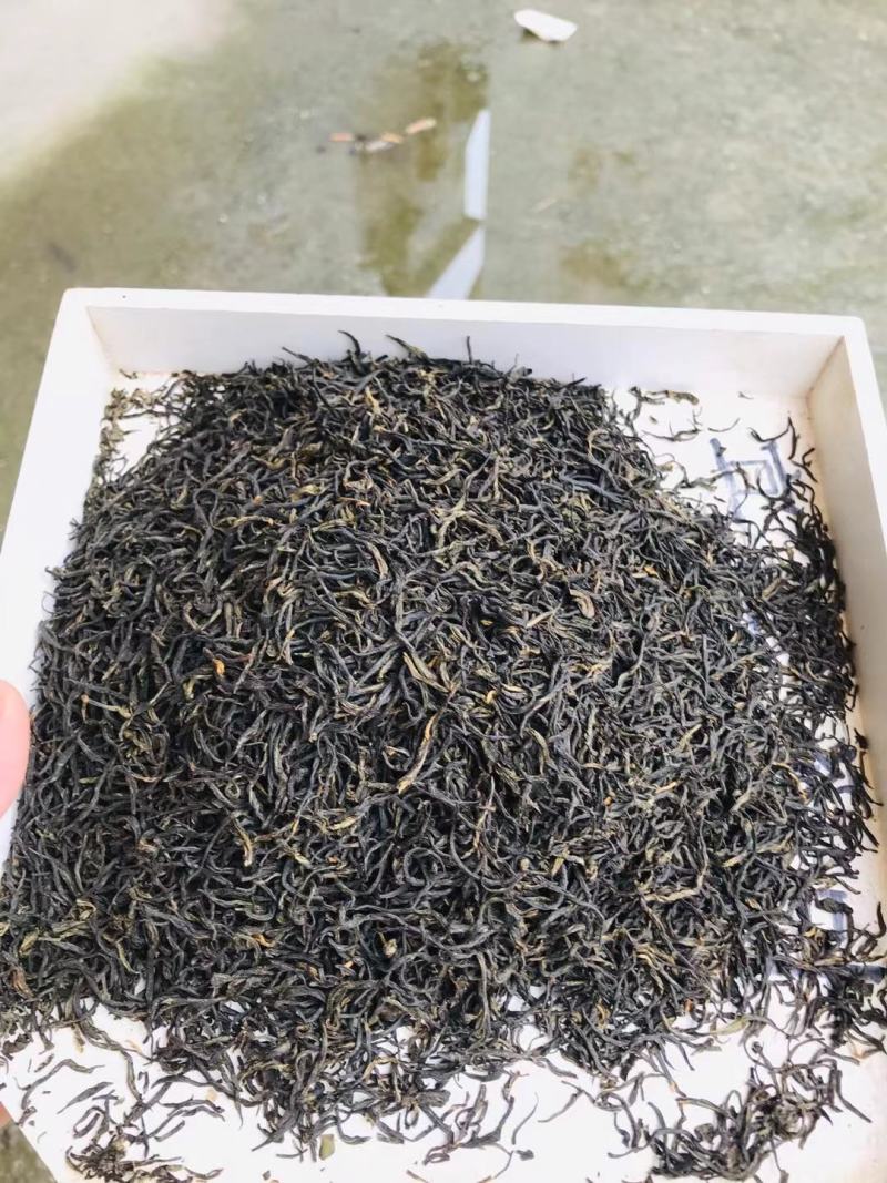 贵州黎平高山绿茶，毛尖毛峰海拔八百多米