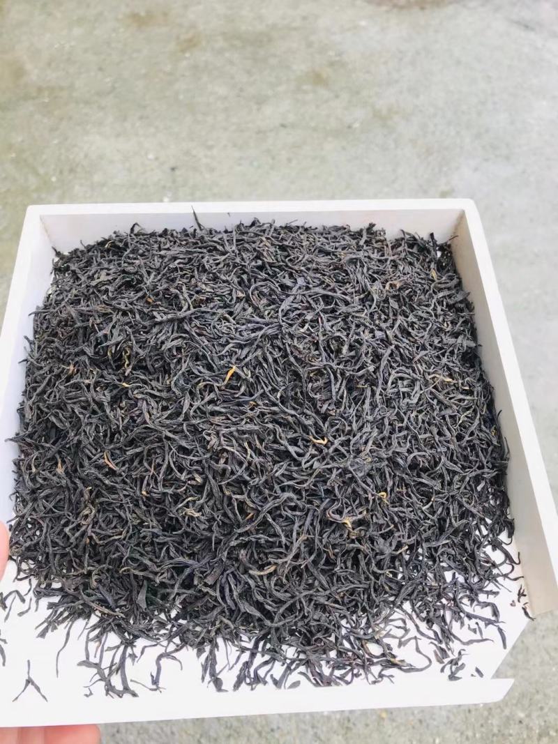 贵州黎平高山绿茶，毛尖毛峰海拔八百多米