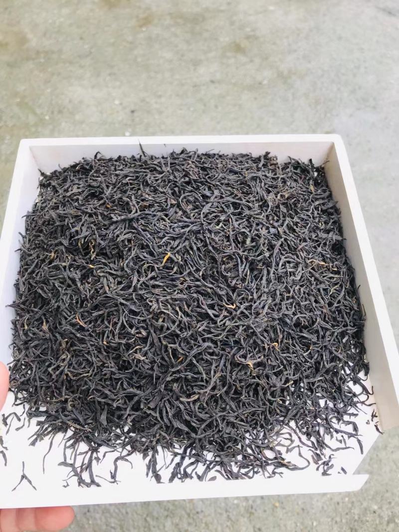 贵州黎平高山绿茶，毛尖毛峰海拔八百多米