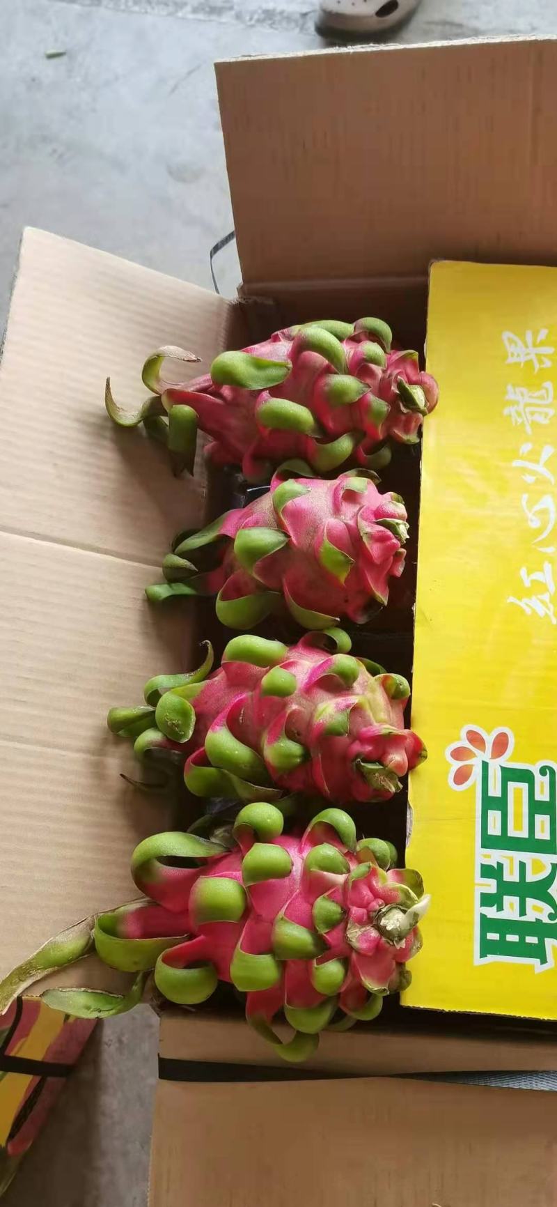 越南红心火龙果等级货电商货一手货源直供
