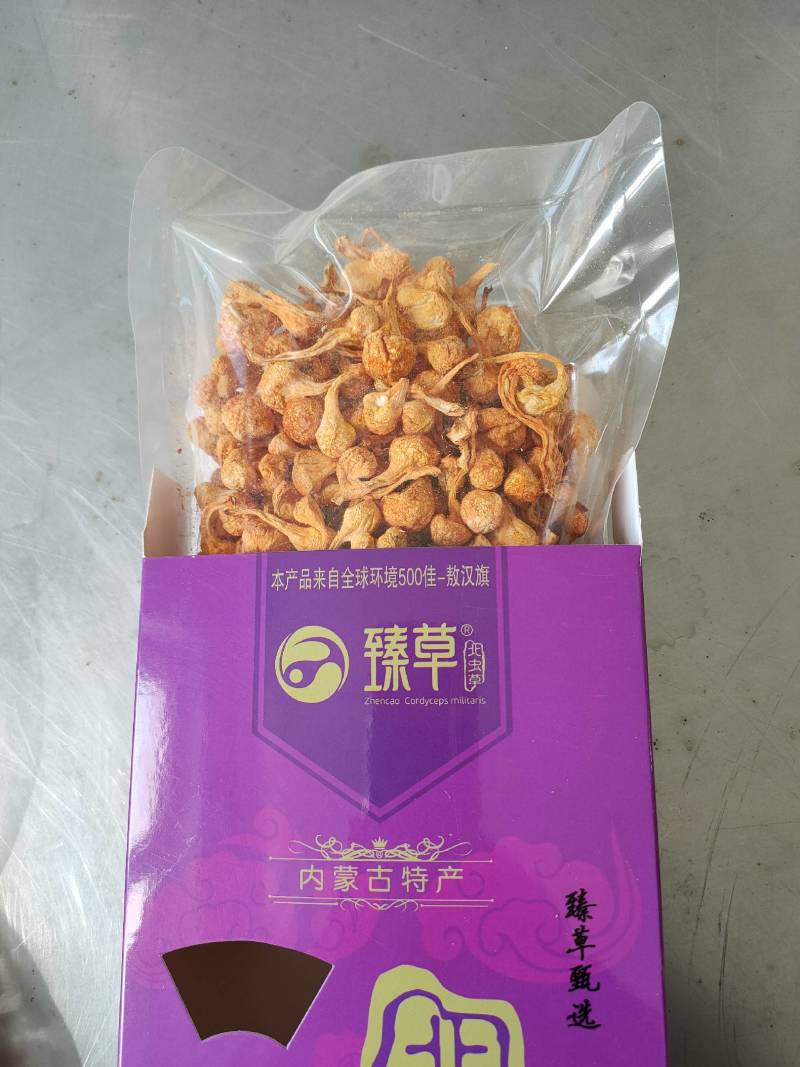 大孢子头虫草花礼盒装300克/盒产地人工精选