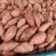 湖北省宜城龙九红薯精品龙薯现货大量供应中一手货源