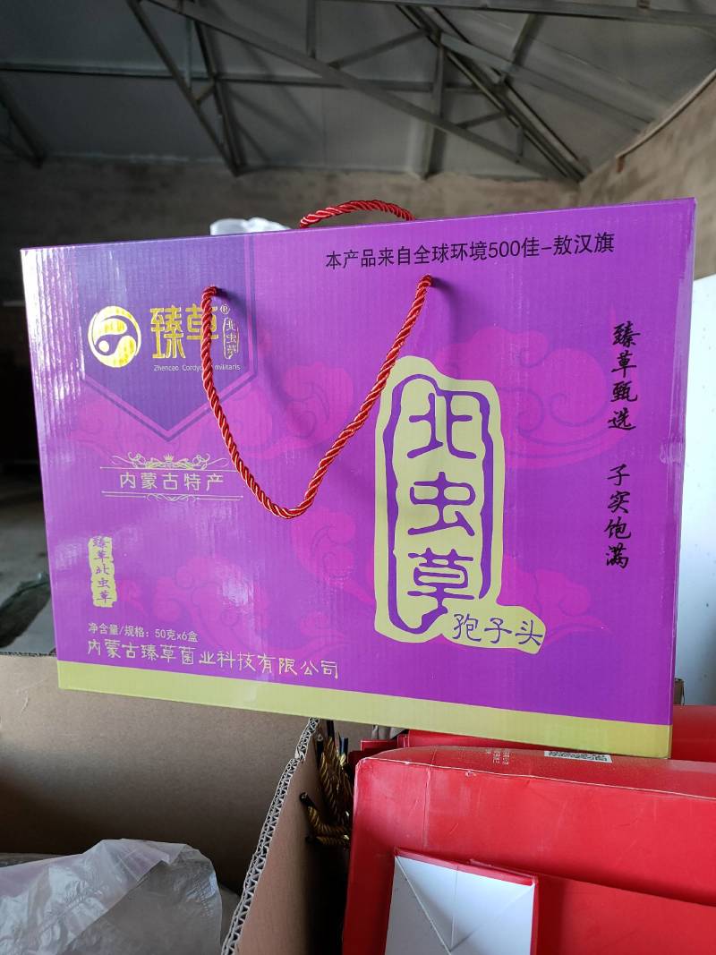 大孢子头虫草花礼盒装300克/盒产地人工精选