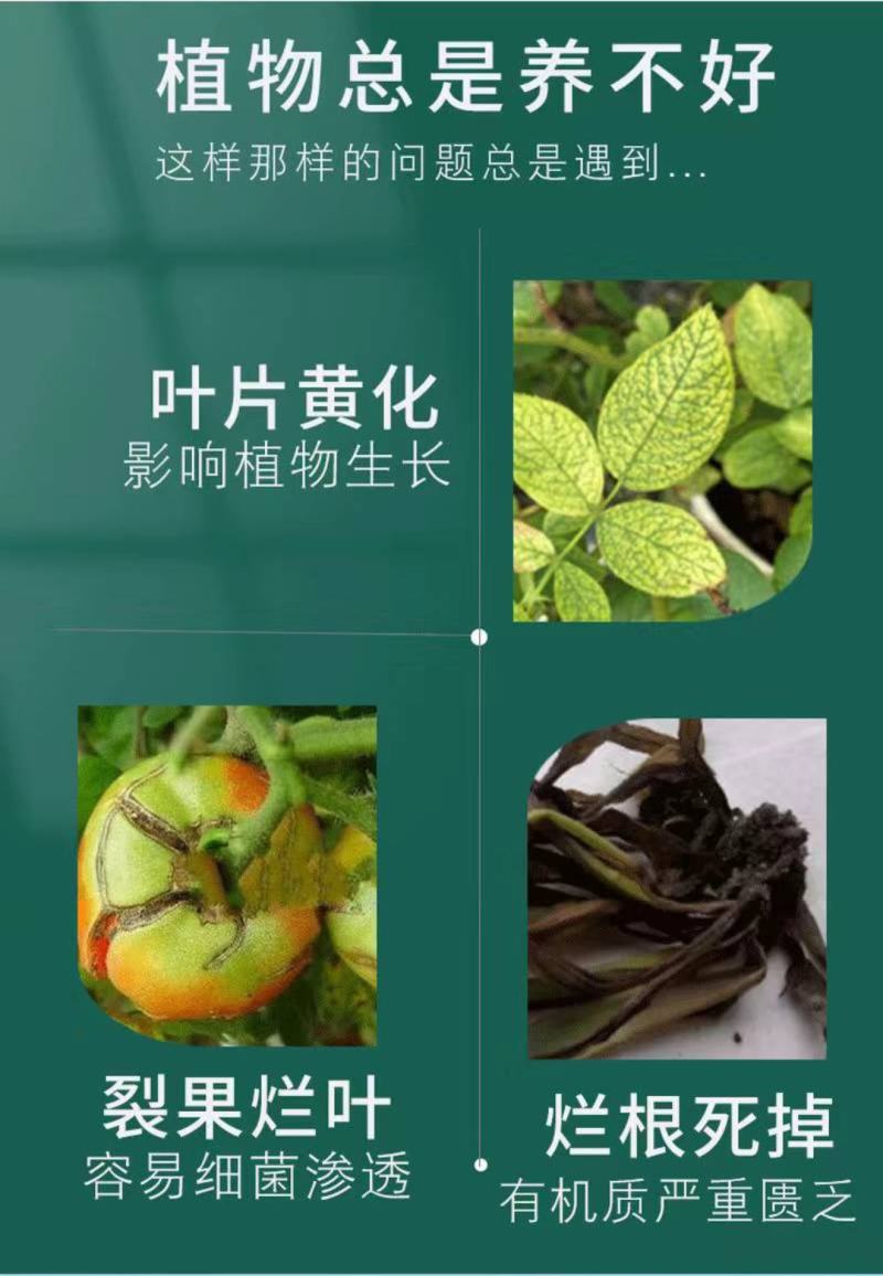 膨果黄金钾黄腐酸钾高钾冲施肥高钾水溶肥膨果钾肥有机肥高钾