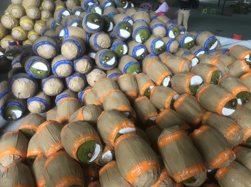 【菠萝蜜】一手货源无中间商供应各大市场电商商超