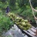 【菠萝蜜】一手货源无中间商供应各大市场电商商超