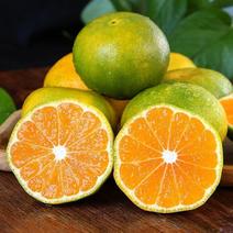 [一件玳发]蜜橘，蜜桔，蜜桔，蜜橘，电商供应链，蜜橘