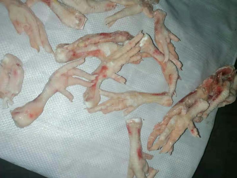 断鸡爪