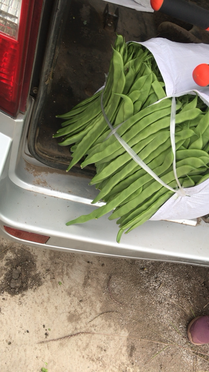 豆角