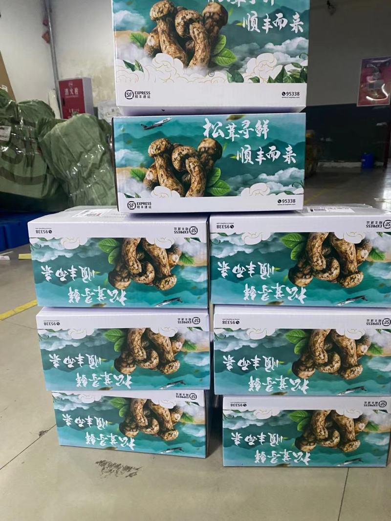 今年特惠松茸1-5厘米支持电商.微商.抖音.天猫.拼多多