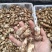 今年特惠松茸1-5厘米支持电商.微商.抖音.天猫.拼多多