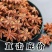 2023广西大红八角新货精选无碎瓣，包邮