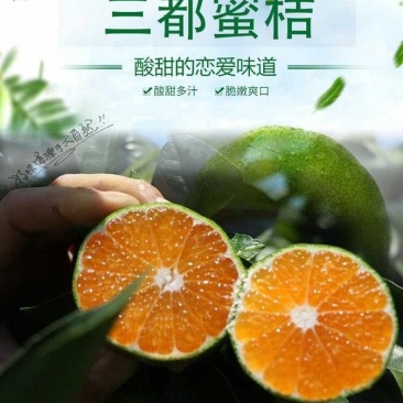 贵州三都新鲜蜜橘桔子皮薄多汁橘子当季水果现摘卖，一手货源