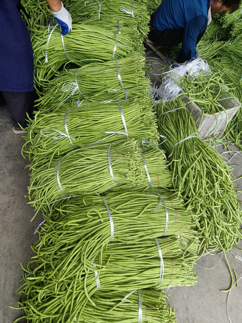 长豆角精品湖北豇豆角蔬菜基地直供长豆角豇豆角新鲜蔬菜现摘