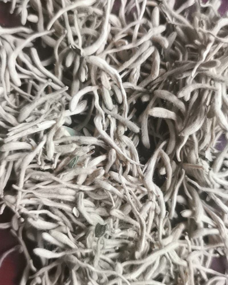 金银花