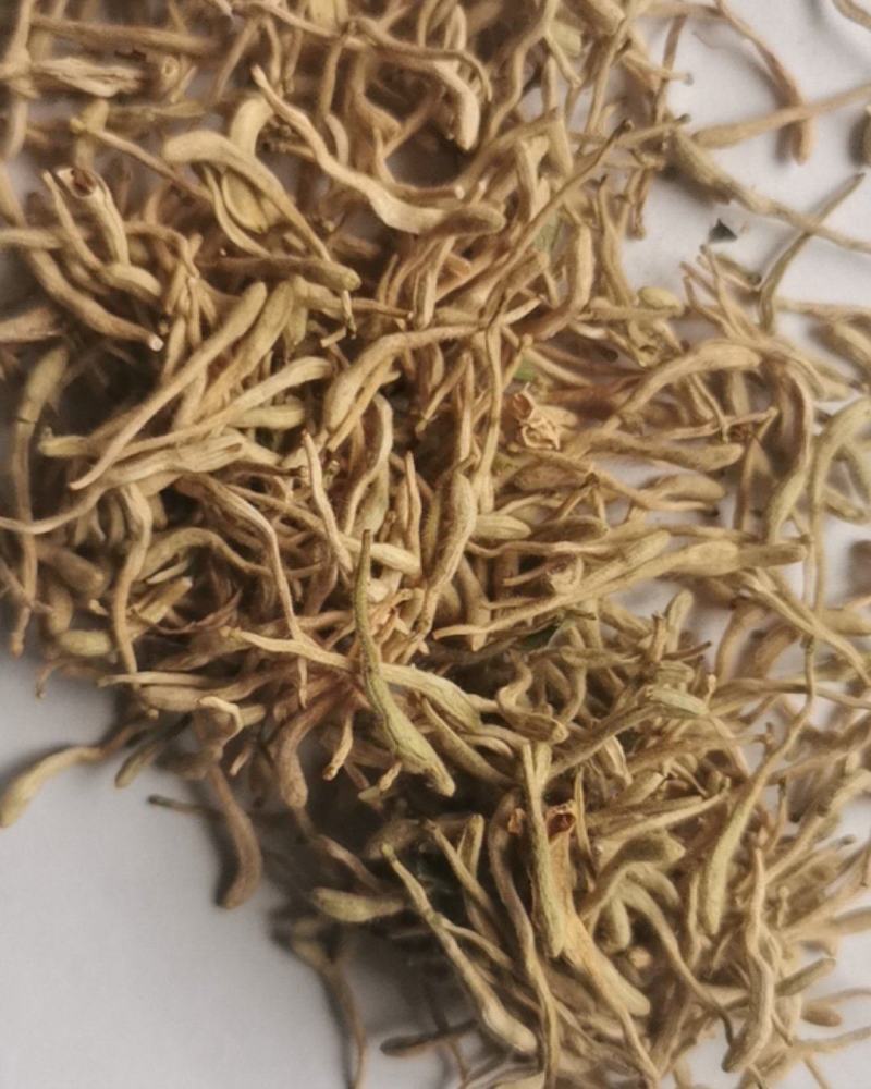 金银花