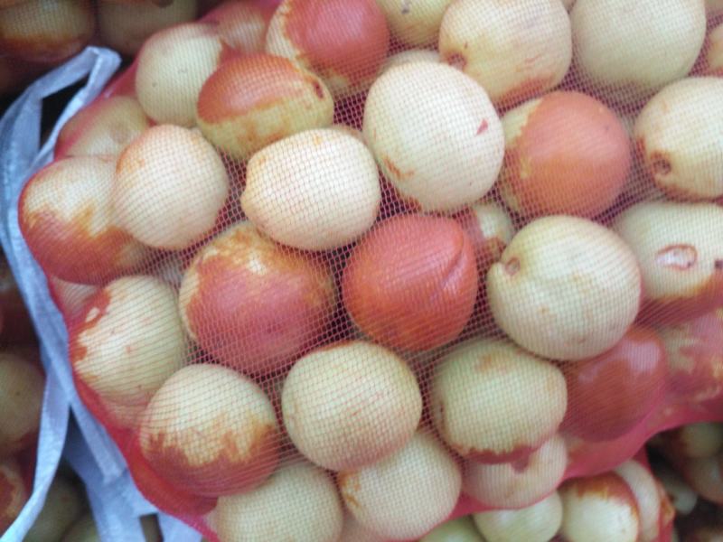 早脆王，早熟鲜枣，脆甜多汁，全部地头收货，诚信代办市场自
