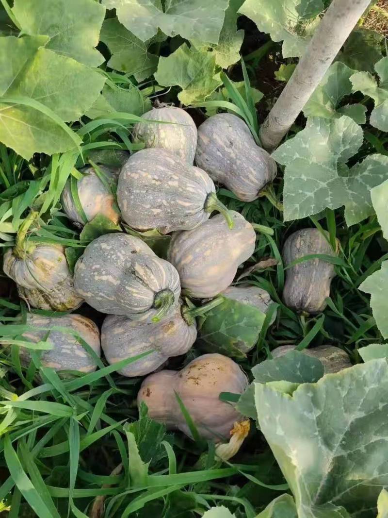 小米辣