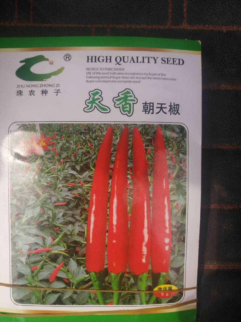 小米辣