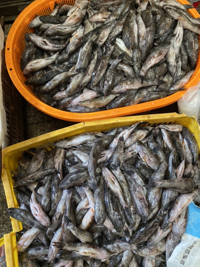 笋壳鱼，加工宰杀腌制入味，半成品批发