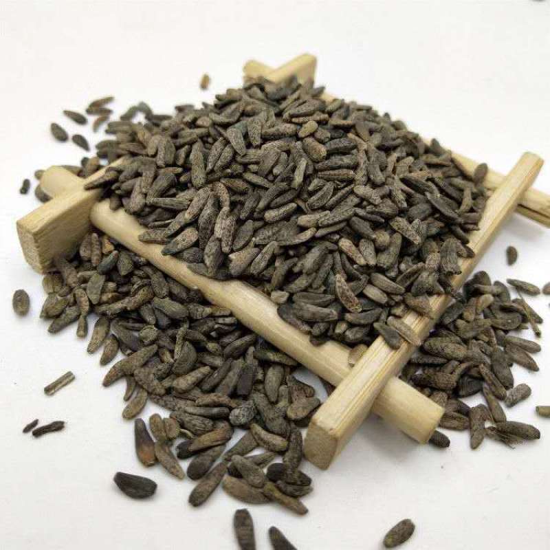 牛蒡子500克新货野生牛蒡子大力子牛蒡子茶中药材牛