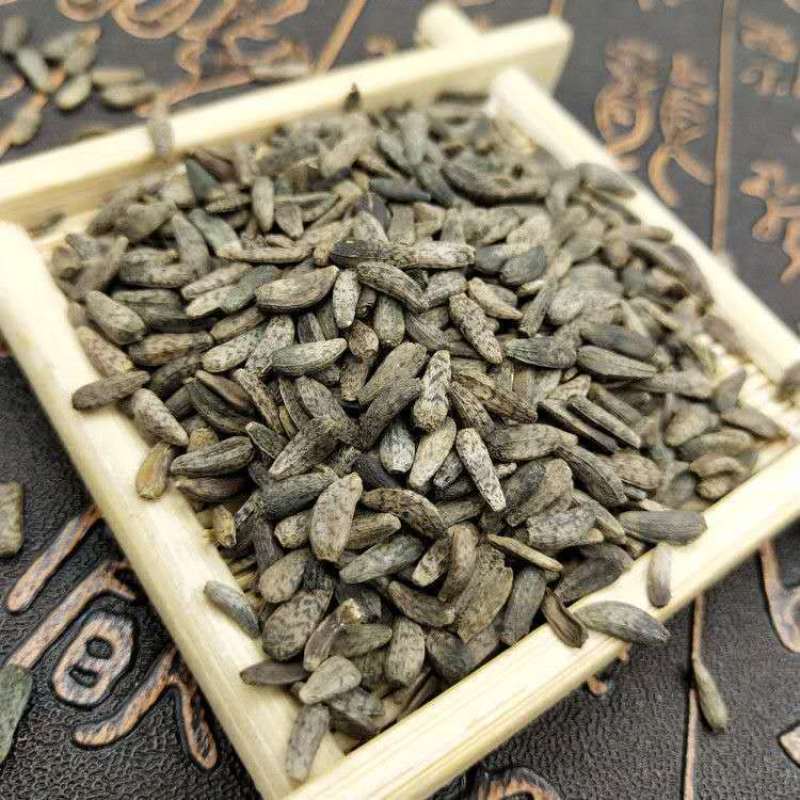 牛蒡子500克新货野生牛蒡子大力子牛蒡子茶中药材牛