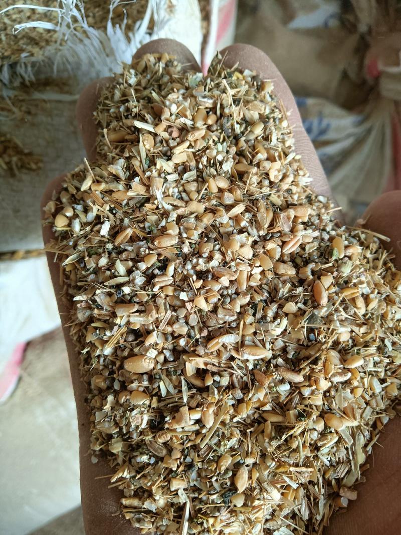 碎小麦，小麦下脚料，质量好，鸡鸭鹅牛羊猪养殖