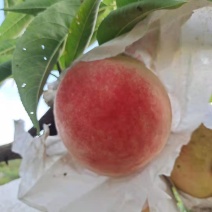 桃