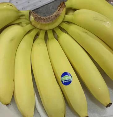 香蕉进口菲律宾香蕉大量现货,全部精品,价格超低,质量保证
