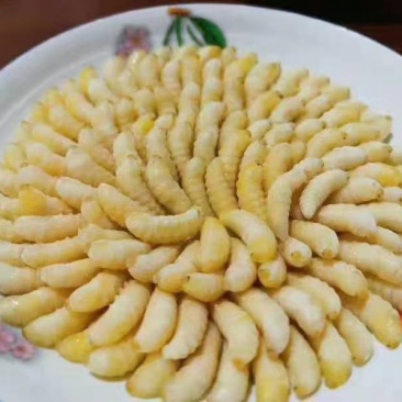 黑尾胡蜂。