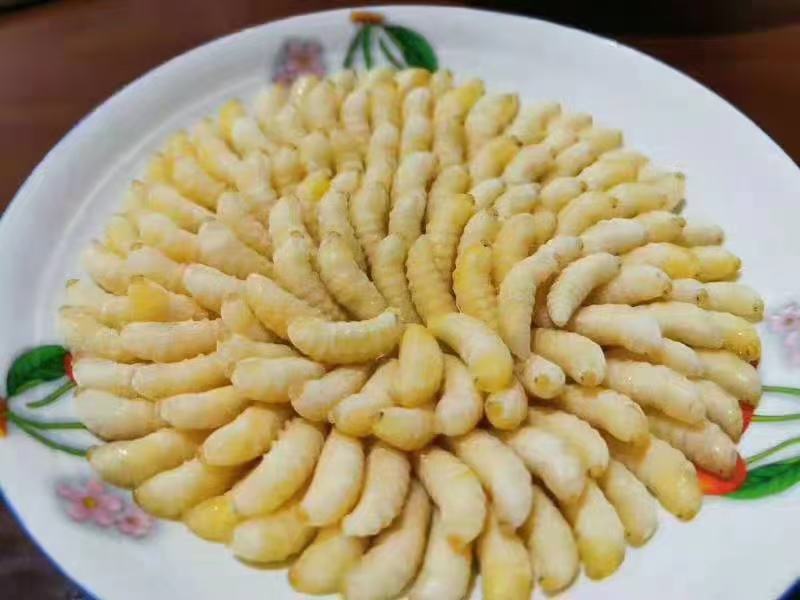黑尾胡蜂。