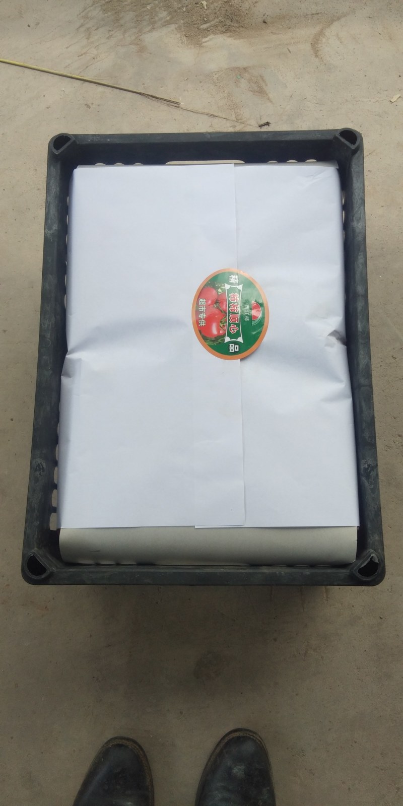 陆地精品西红柿弧三以上柿子，