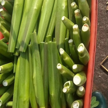 磐安县高山蔬菜。
