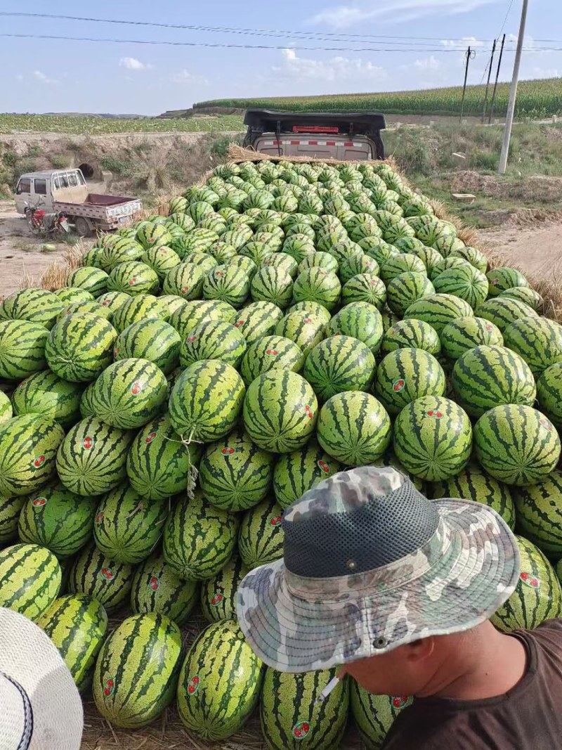 西瓜
