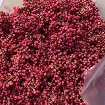 四川大红花炮花椒很浓很香的花椒有几十万斤保证质量放全心要