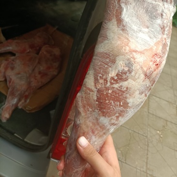 羊腿，标准规格羊腿，厂家直销
