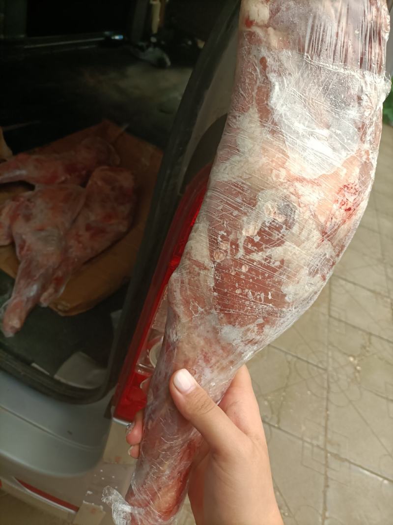 羊腿，标准规格羊腿，厂家直销
