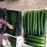 【山东莘县】精品油亮黄瓜大量上市商超食堂产地直发
