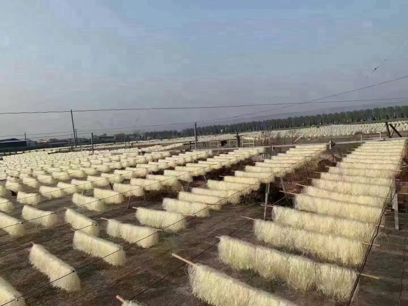 碗豆粉丝，地摊，早市，展会火爆产品，厂里一手货源