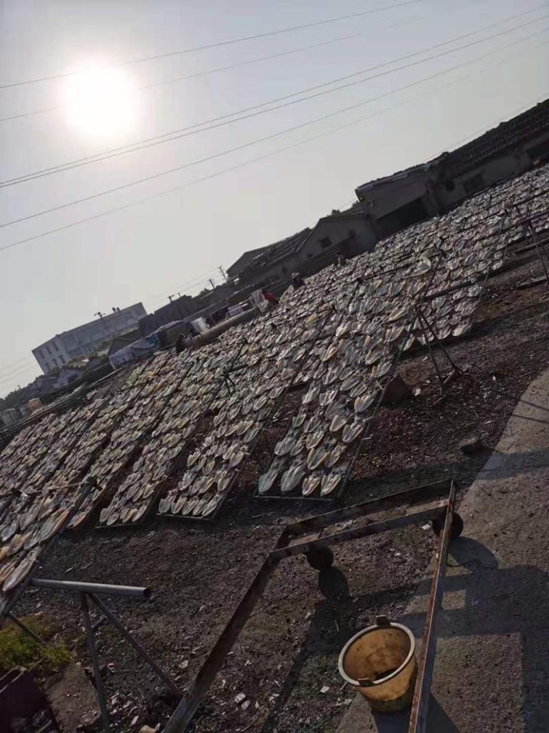 浙江墨鱼产地直销鲜度好的原料晒制而成。7-8头一斤