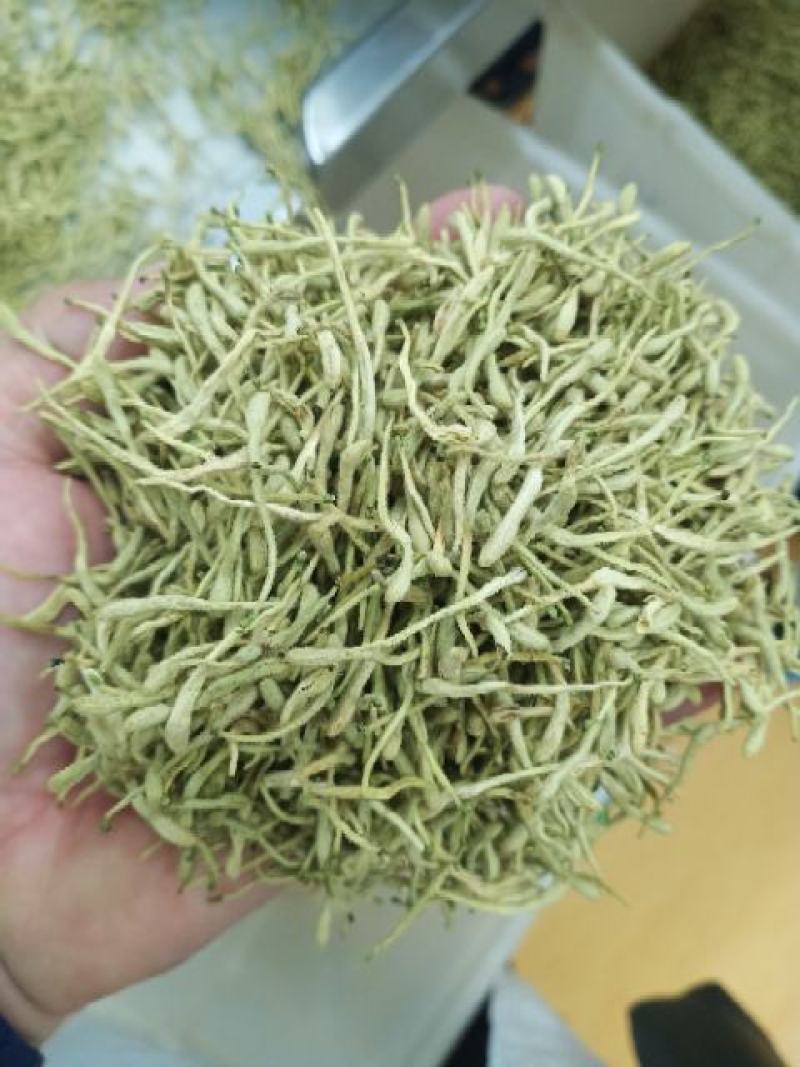 金银花